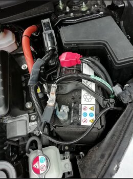 qpgO8EyS71C-K04CYoezdobXIxQ-1920.jpg