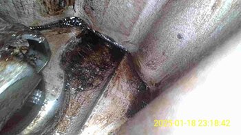 IMG-20250118-WA0020.jpg
