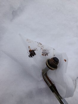 IMG_20250127_162835.jpg