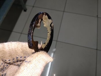 IMG_20250221_091306.jpg