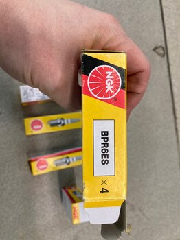 IMG_2954.jpeg
